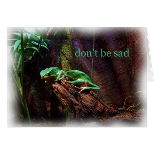 frogs_pair_2495_Paint Cards (Front Horizontal)