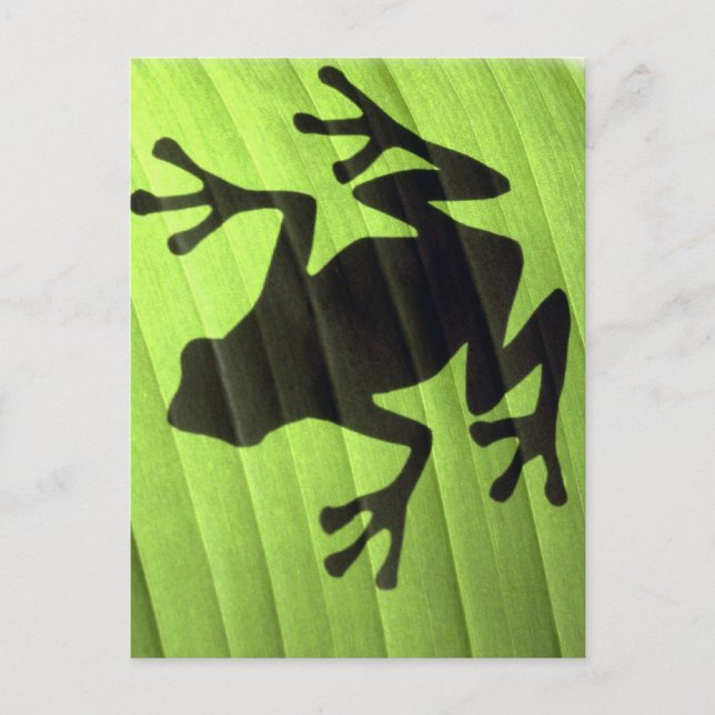 Frogs Postcard (Front)