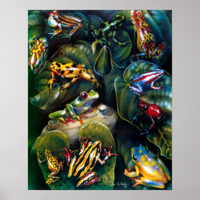 Frogs Poster (Front)