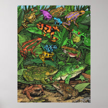 Frogs Poster