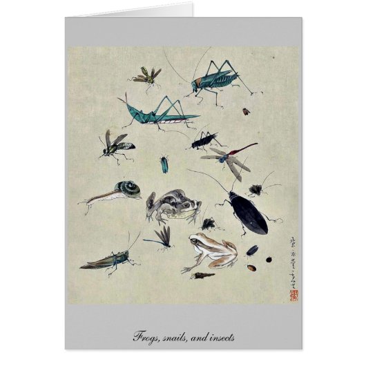 Frogs, snails, and insects cards (Front)