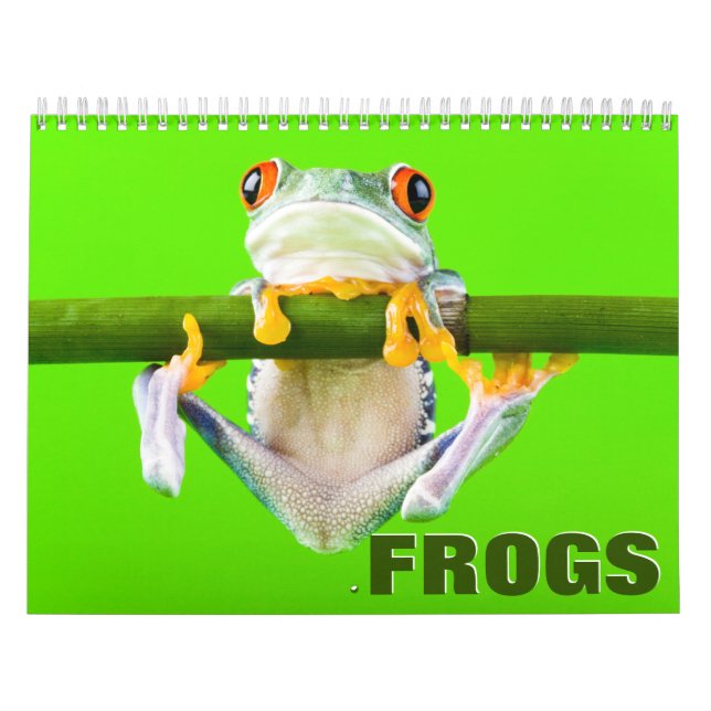 Frogs Wall Calendar (Cover)