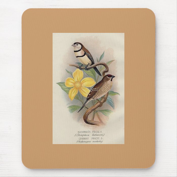 Frohawk   Bicheno's Finch & Cherry Finch Mouse Mats