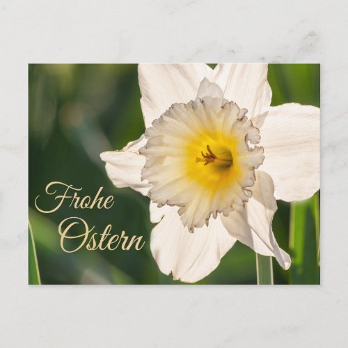 Frohe Ostern mit Blumengru Postcard