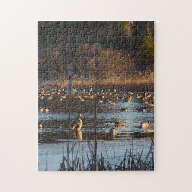 FROLICKING GEESE. 11x14 Photo Puzzle with Gift Box (Vertical)