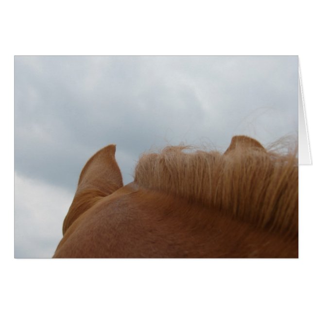 From a Horse's View, Horse Ears and Neck Cards (Front Horizontal)