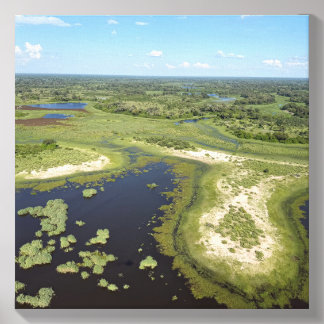 From Above — Okavango Delta, Aerial Safari Canvas Photo Tile