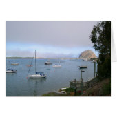 From Beautiful Morro Bay (Front Horizontal)