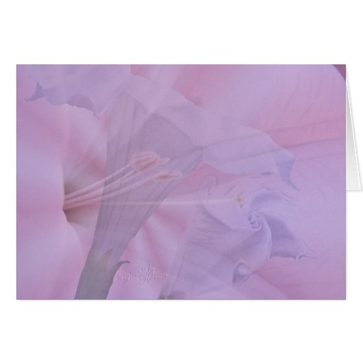 From Bud to Blossom Cards (Front Horizontal)