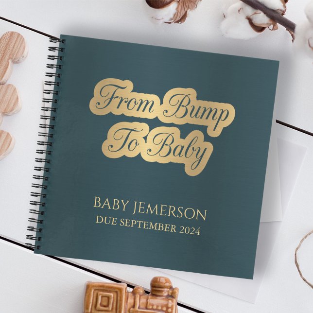 From Bump to Baby Keepsake New Mom Journal (Creator Uploaded)