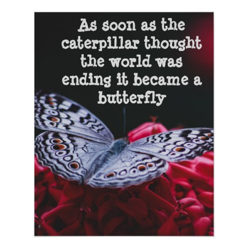 From caterpillar to butterfly poster