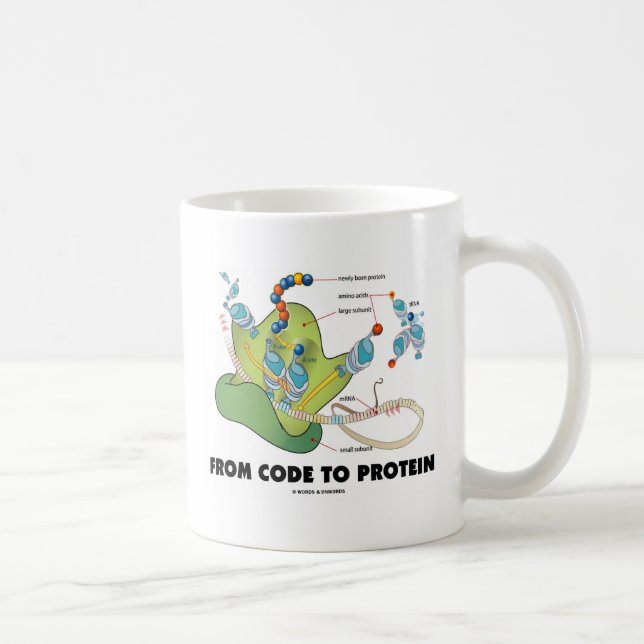 From Code To Protein (Protein Synthesis) Coffee Mug (Right)