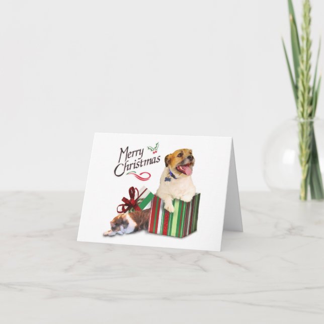 From Eddie & Agnes Holiday Card (Front)