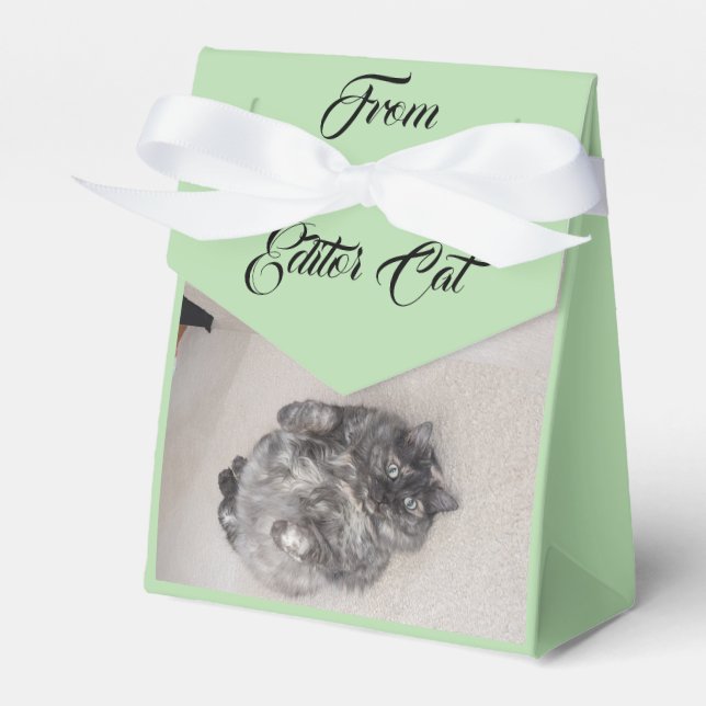 From Editor Cat by RoseWrites Favor Box (Front Side)