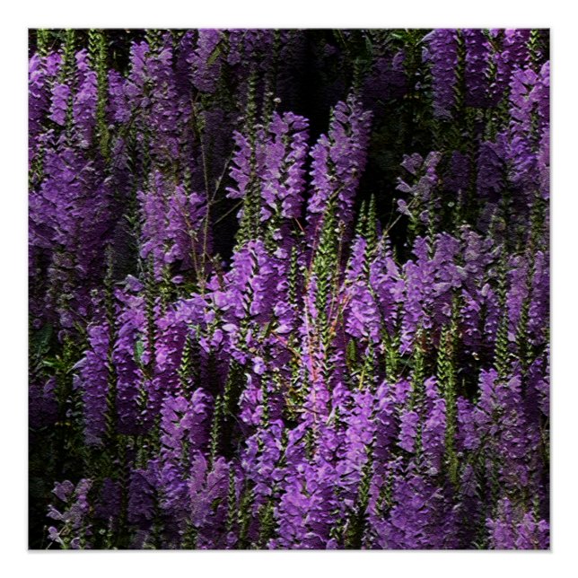 From evening to morning... poster (Front)