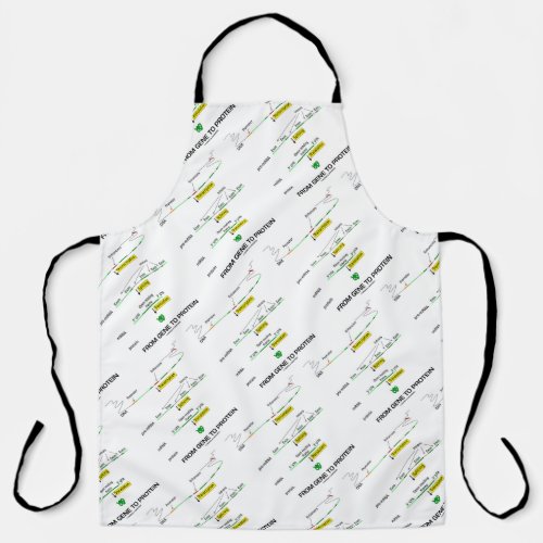 From Gene To Protein Molecular Biology Apron