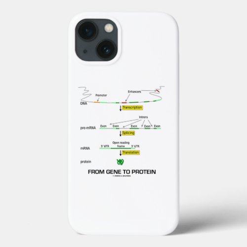 From Gene To Protein Molecular Biology iPhone 13 Case