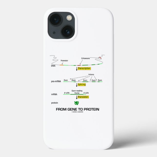 From Gene To Protein Molecular Biology Case-Mate iPhone Case (Back)