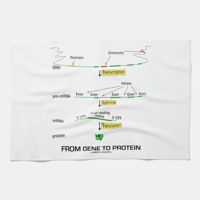From Gene To Protein Towel (Horizontal)