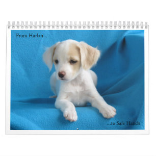 From Harlan to Safe Hands Calendar
