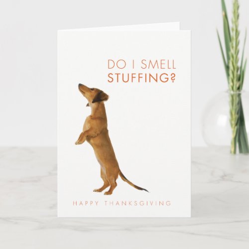 From I smell stuffing Dachshund puppy Thanksgivin Holiday Card