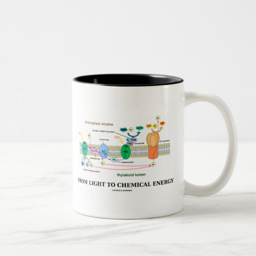 From Light To Chemical Energy Photosynthesis Two_Tone Coffee Mug