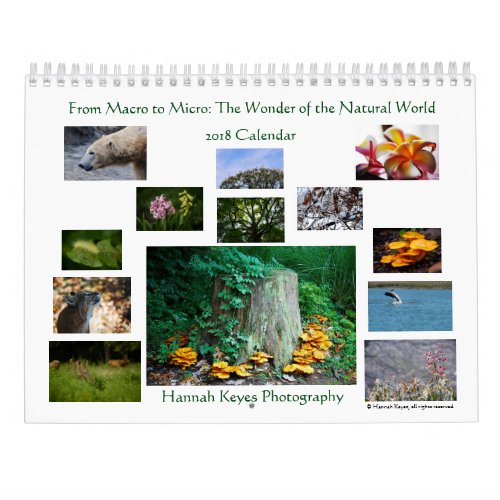 From Macro to Micro Wonder of the Natural World Calendar