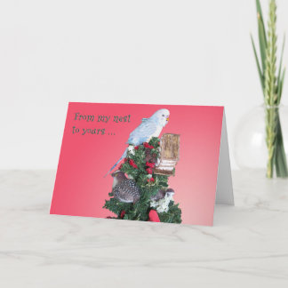 From My Nest Holiday Card