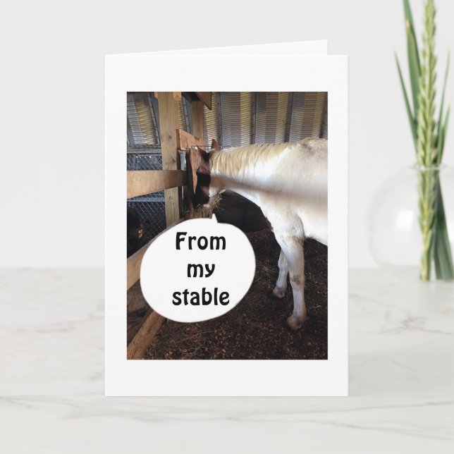 FROM MY STABLE TO YOURS MERRY CHRISTMAS HOLIDAY CARD (Front)