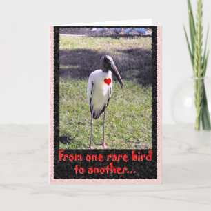 From one rare bird holiday card