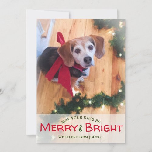 From Pet  Family Photo Merry  Bright Christmas H Holiday Card