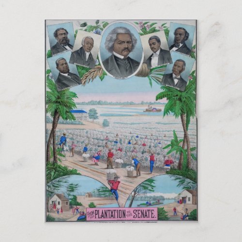 From Plantation To The Senate Postcard