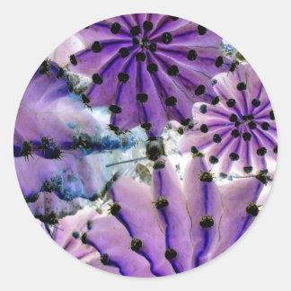 From Space Classic Round Sticker