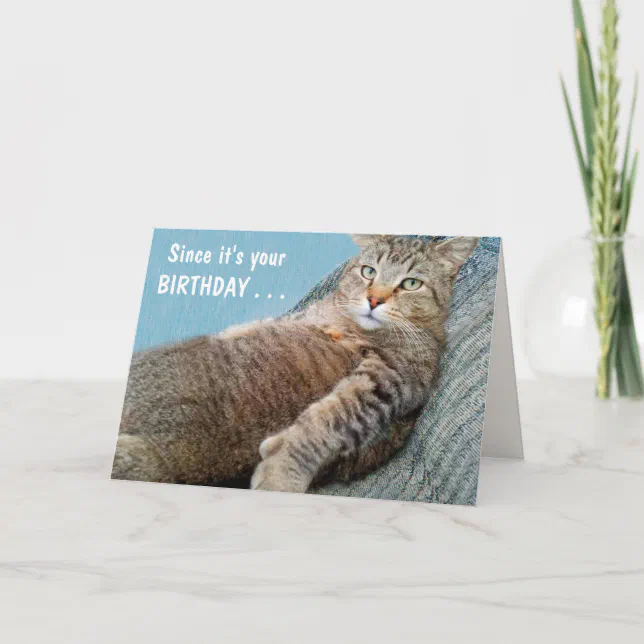 Hilarious Birthday Card From Your Cat – Funny Gift For Sister, Mum, Nan, Or Brother!