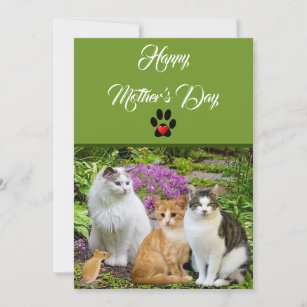 Happy Mother's Day Mom Cute Cat in Flower Hat Holiday Card | Zazzle