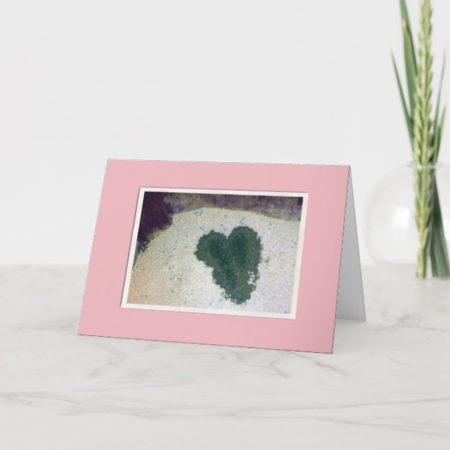 From the Cat Holiday Card (Front)