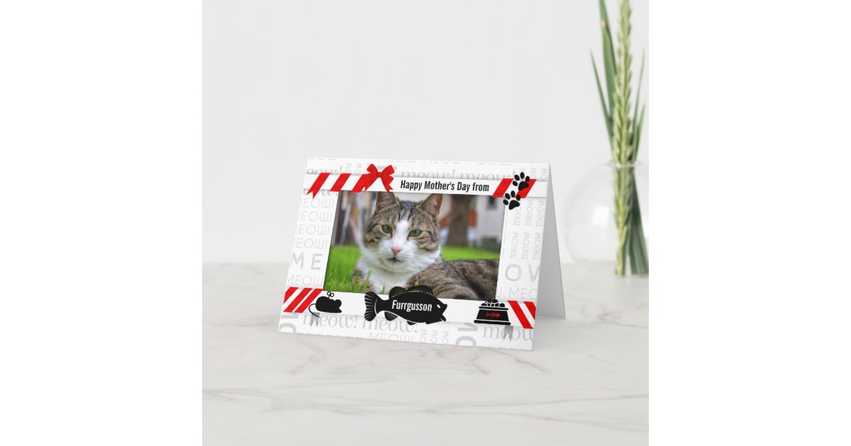 From The Cat Red Meow Mother S Day From The Cat Card Zazzle Com