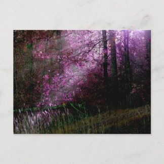 From the Darkness Postcard