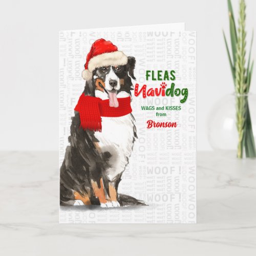 from the Dog Bernese Mountain Dog Christmas Holiday Card