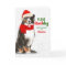 from the Dog Bernese Mountain Dog Christmas