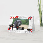 from the Dog Birthday Red Pet&#39;s Photo and Name Card
