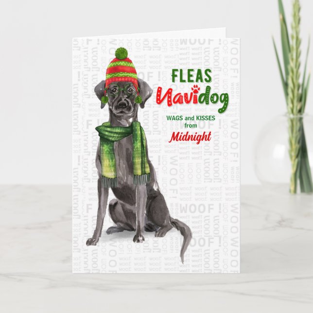 from the Dog Black Lab Fleas Navidog Christmas Holiday Card (Front)