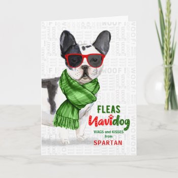 From The Dog Boston Terrier Fleas Navidog Holiday Card by PAWSitivelyPETs at Zazzle