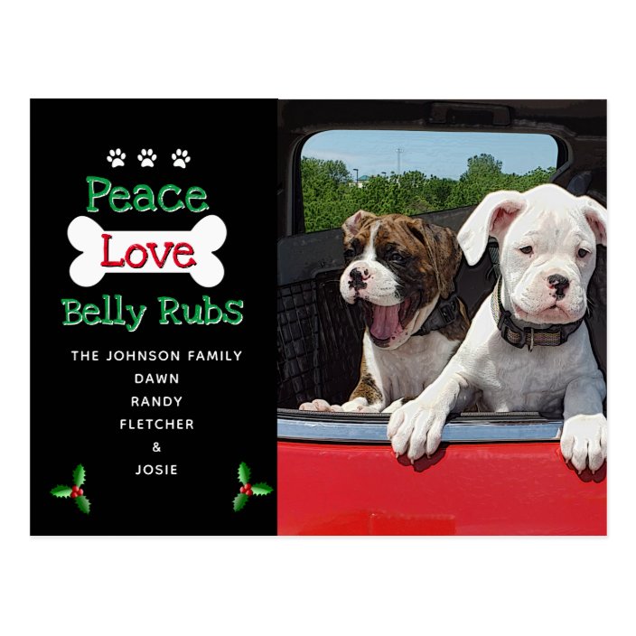 From The Dog Christmas Cards Zazzle From The Dog Christmas Cards Zazzle