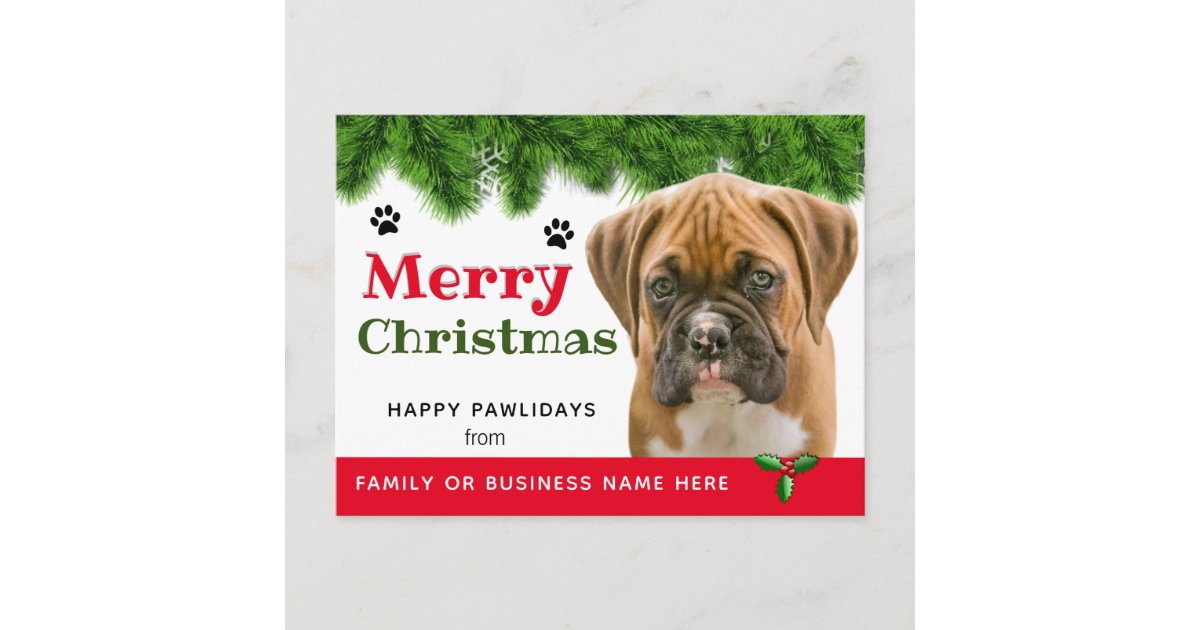 From the Dog Christmas- Dog Holiday Postcard | Zazzle