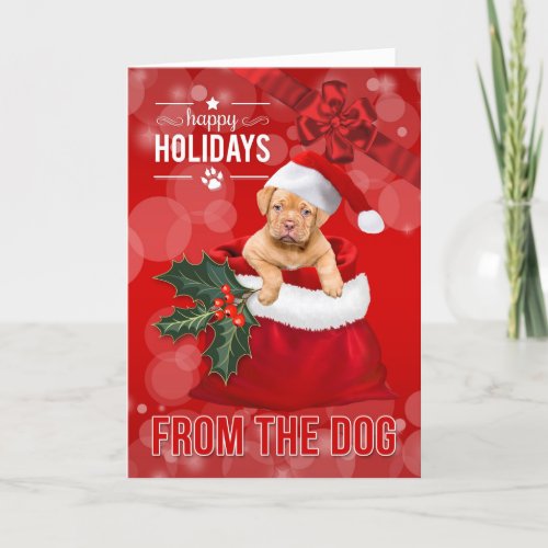 from the Dog Cute Christmas Puppy in Santas Sack Holiday Card