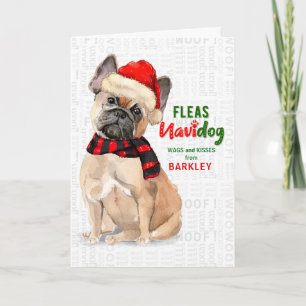 from the Dog French Bulldog Fleas NaviDOG Holiday Card