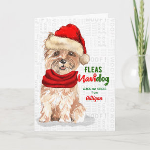 from the Dog Funny Cairn Terrier Christmas Holiday Card