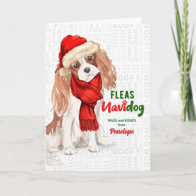 from the Dog Funny Cavalier King Charles Christmas Holiday Card (Front)