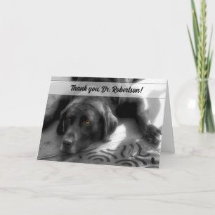from the Dog Labrador Retriever Veterinary Letterpress Thank You Card